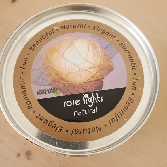 Real Rose Flower Leaf Rose String Lights NEW In Can - Picture 3 of 5